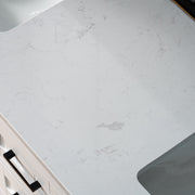 WOODBRIDGE Dover-60-D Freestanding Double-Basin Vanity