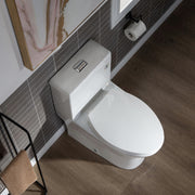 Woodbridge T-0032-CH Modern Elongated One Piece Toilet with Soft Closing Seat