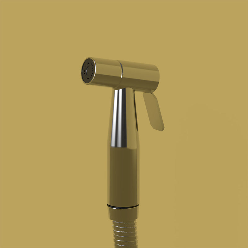 Brondell CleanSpa Luxury Hand Held Bidet