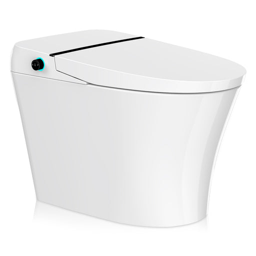Juno 26 in. Smart Toilet and Bidet Set in White