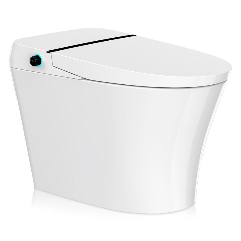 ANZZI Juno 26 in. Smart Toilet and Bidet Set with Heated Seat, Front & Rear Wash, and Foot Sensor